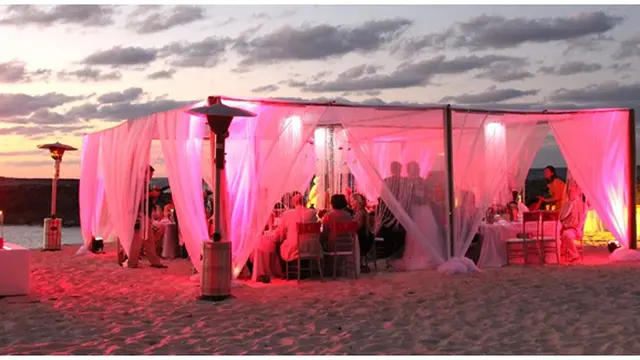 (c) wildflowersbahamas.com