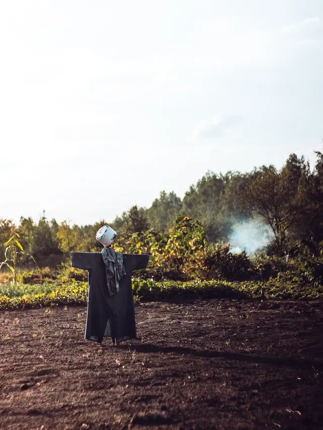 Ilustrasi Orang-Orangan Sawah