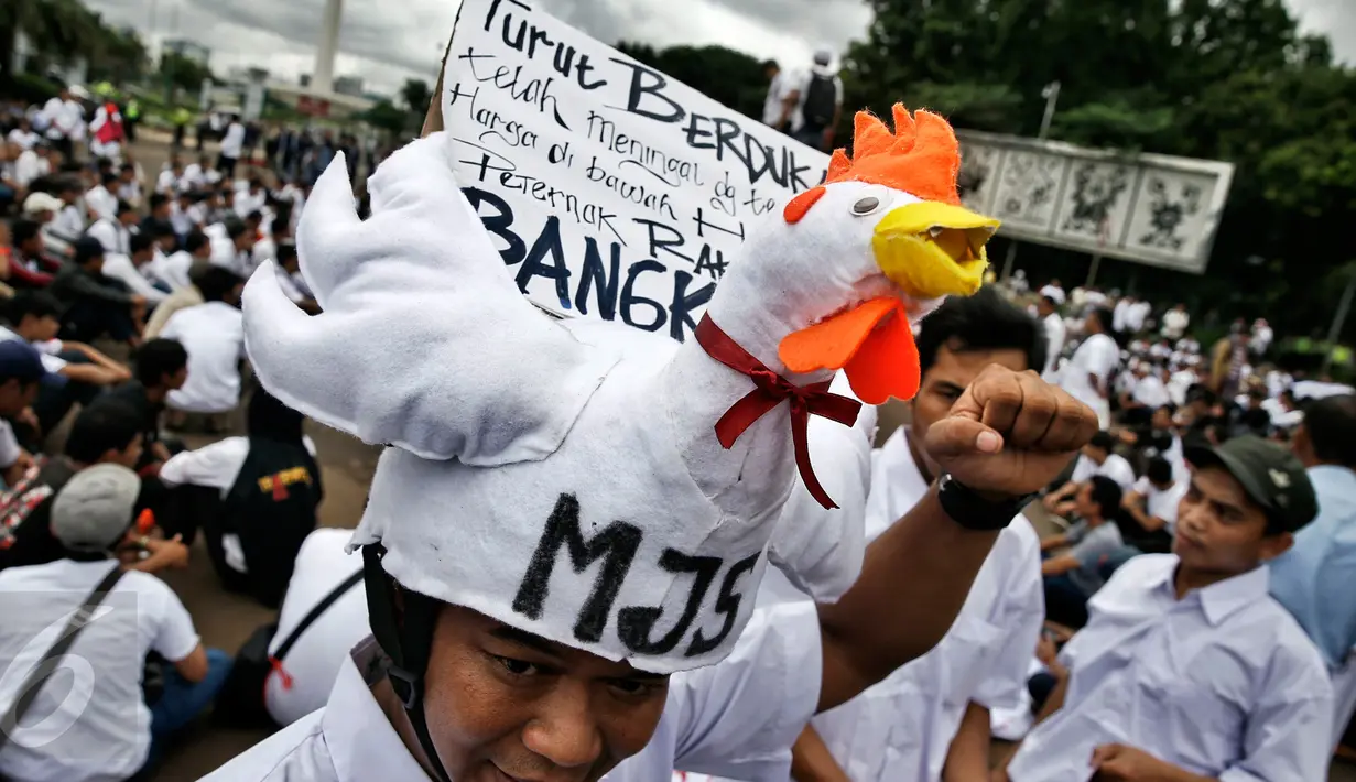 Demonstran memakai aksesoris berbentuk ayam saat unjuk rasa depan Istana Merdeka, Jakarta, (1/3). Dalam aksinya mereka membawa 1 truk ternak ayam untuk menyampaikan rasa kecewa terhadap turunnya Harga Pokok Produksi (HPP). (Liputan6.com/Faizal Fanani) 