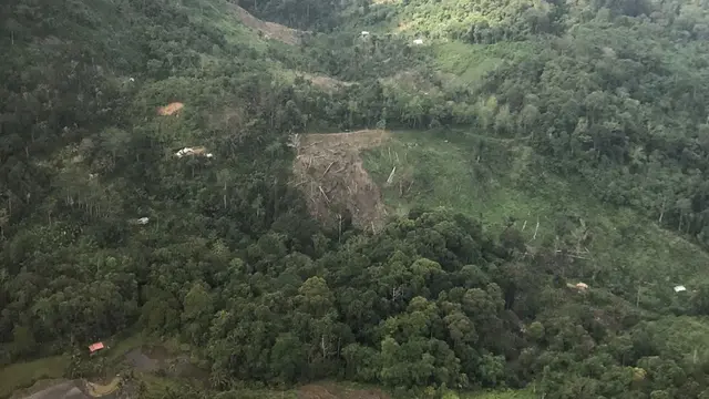 Dugaan praktik pembalakan liar di Kabupaten Pesisir Barat, Lampung kembali mencuat.