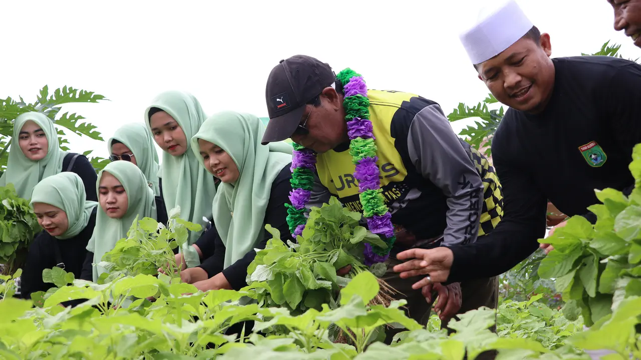Turdes Hari Ketiga, Gubernur Kalsel Panen Sayuran Segar Bersama Warga Desa Gunung Besar