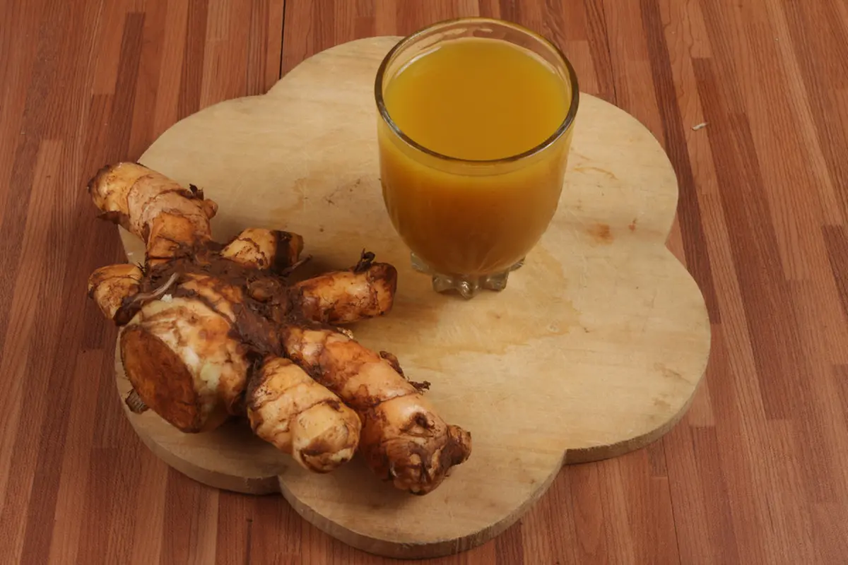 Jamu Temulawak