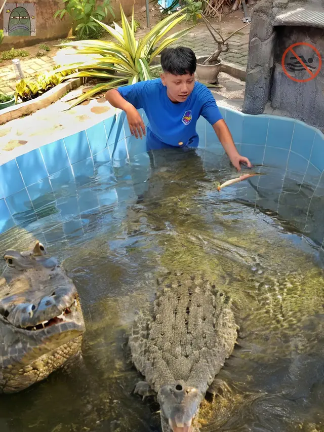 6 Editan Absurd Orang Berenang Karya Netizen Ini Bikin Ngakak, Jauh dari Ekspektasi
