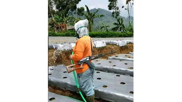 6 Aksi Kocak Emak-Emak saat di Sawah Ini Bikin Elus Dada