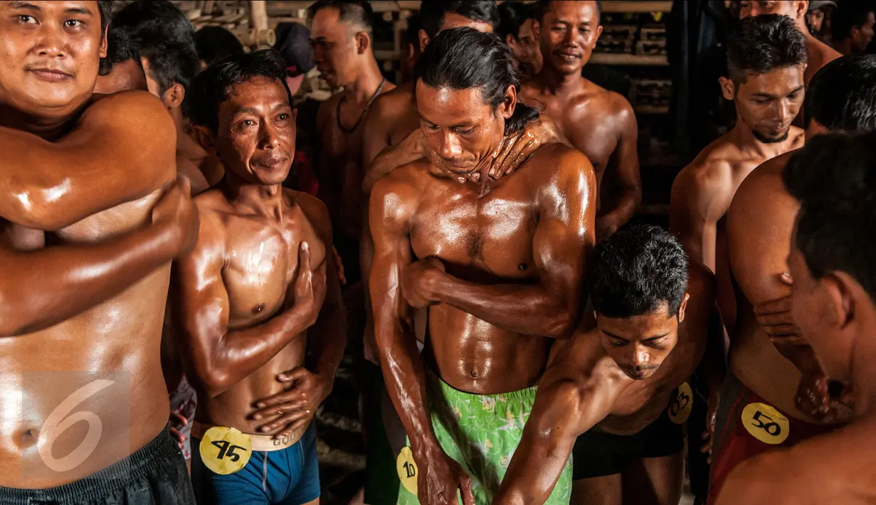 Para Jebor mengoleskan minyak disekujur tubuhnya. Bentuk badan yang berotot itu bukan dihasilkan dari latihan di gim atau pusat latihan kebugaran. (Liputan6.com/Gempur M Surya)