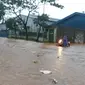 Akibat hujan deras, Bogor dilanda banjir