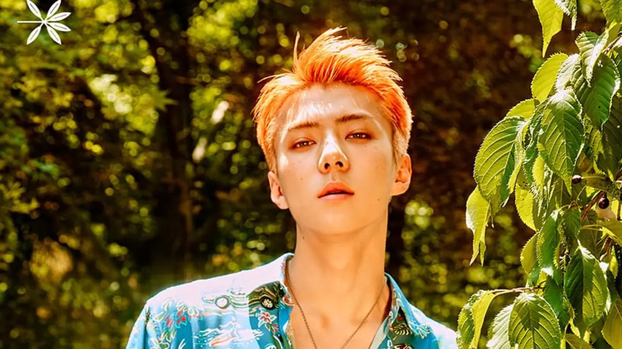 [Bintang] Sehun EXO, Lelaki Tampan yang Berhati Emas
