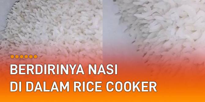 VIDEO: Jarang Terjadi, Nasi Berdiri di Dalam Rice Cooker