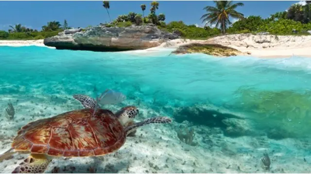 Courtesy ListVerse.com