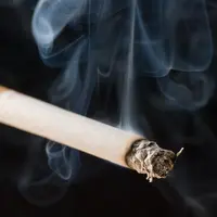 Netizen dibuat kesal dengan beredarnya video yang memperlihatkan sekelompok siswi SMA tengah pesta rokok dan 'miras' di dalam angkot. (Foto: theeagleonline.com.ng)