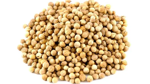 Biji Ketumbar. (foto: Pinterest/Savory Spice).