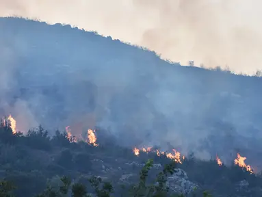 Kebakaran lahan terlihat di wilayah pedesaan di Provinsi Hama, Suriah tengah, pada 9 September 2020. Api melalap tanah pertanian di wilayah pedesaan provinsi tersebut, papar seorang pejabat Suriah pada Rabu (9/9). (Xinhua/Stringer)