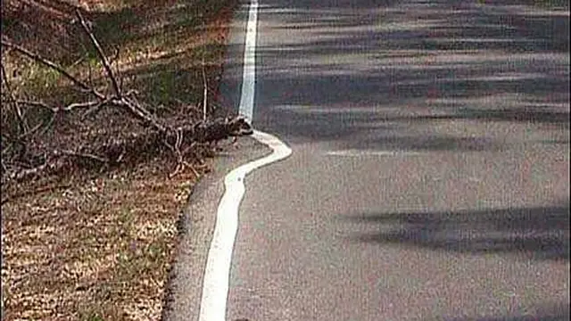 7 Potret Kesalahan Orang Bikin Marka Jalan Ini Kocak