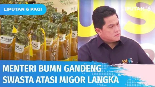 VIDEO: Menteri BUMN Ajak Swasta Ikut Bertanggung Jawab Atasi Kelangkaan Minyak Goreng