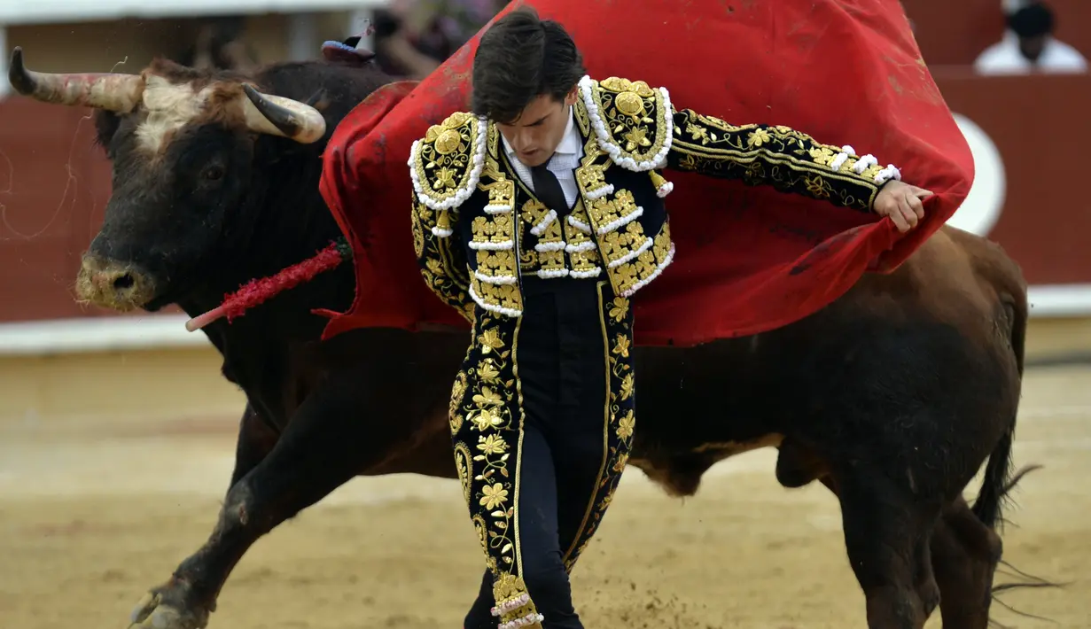 Matador Spanyol, Jose Garrido mengecoh banteng di Marcel Dangou Arena selama festival Feria de l'Atlantique di Bayonne, Perancis pada tanggal 4 September 2016. (AFP PHOTO / Gaizka IROZ)