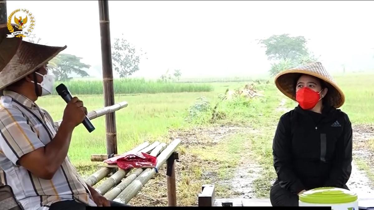 Susi pudjiastuti sindir aksi puan maharani menanam padi di tengah hujan, cuitannya sampai viral