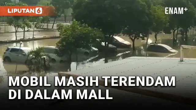 VIDEO: Pemilik Mobil Minta Pertanggungjawaban Pihak Mall atas Mobil yang Terendam