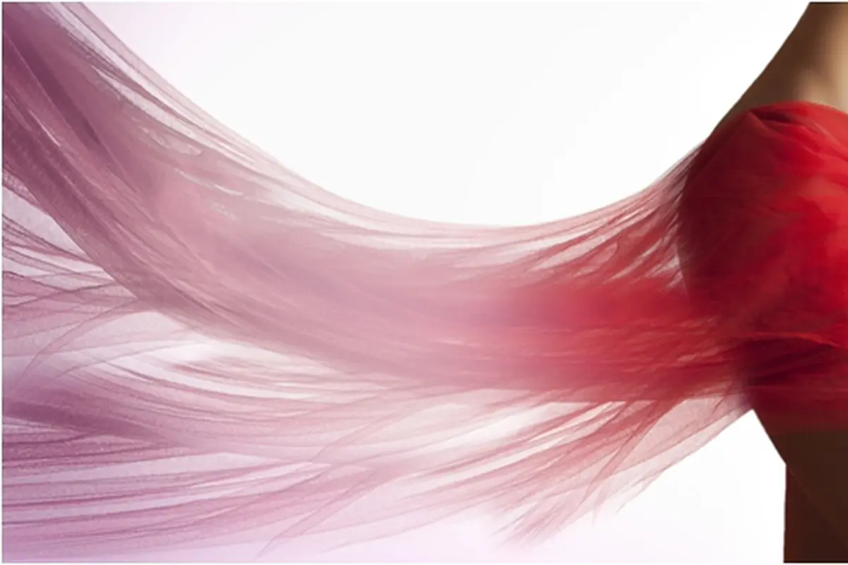 Foto: copyright shutterstock.com