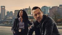 Detective Danny Reagan will return to Boston Blue for season two! Here are all the details about this "Blue Bloods" spinoff.
