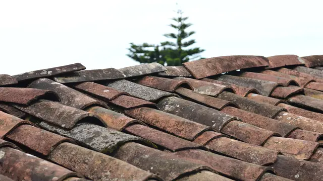 Atap yang Mengalami Kebocoran