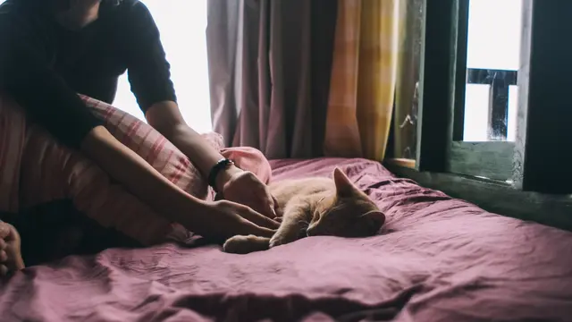 Kucing Tidur di Dekat Kaki Pemiliknya