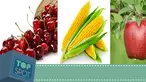 (Liputan6.com)