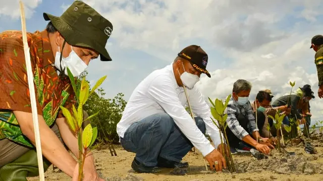 Penanaman mangrove di pantai Kota Dumai oleh Badan Restorasi Gambut dan Mangrove.