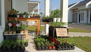 Ide Usaha Modal Kecil di Daerah Pemukiman Baru yang Potensial Penjualan Tanaman Hias Pot Kecil atau Bibit Tanaman/ Ilustrasi AI