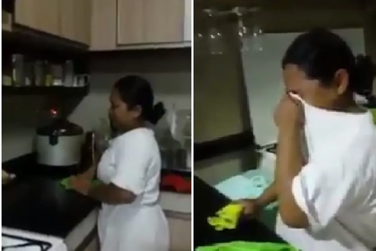 Ibu Bersih-Bersih