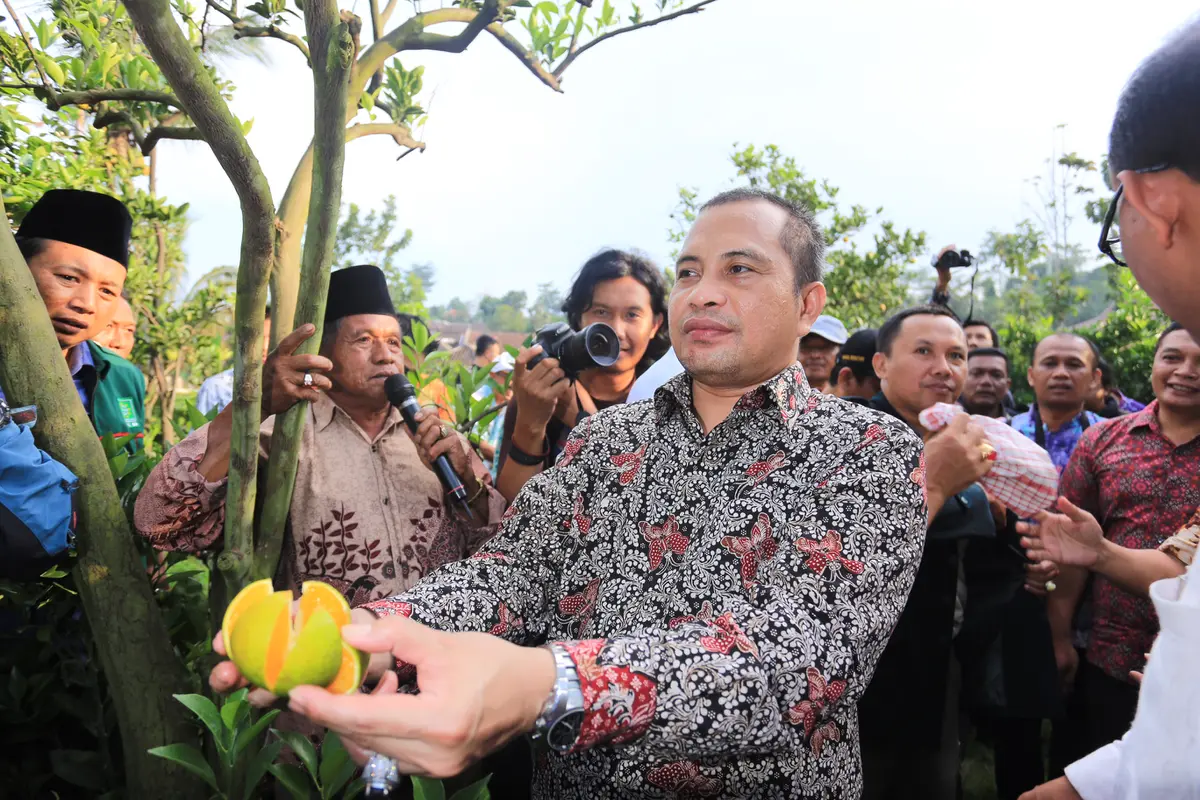 Menteri Marwan: Jeruk Selorejo Nggak Kalah Saing, Layak Diekspor 