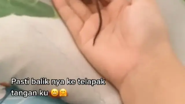 Kasihan Sang Induk Dimangsa Kucingnya, Cewek Ini Pelihara Anak Tikus Got