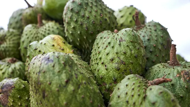 Membantu Menstabilkan Tekanan Darah