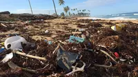 Ilustrasi sampah plastik mengotori pesisir pantai. (dok. Dustan Woodhouse/Unsplash)