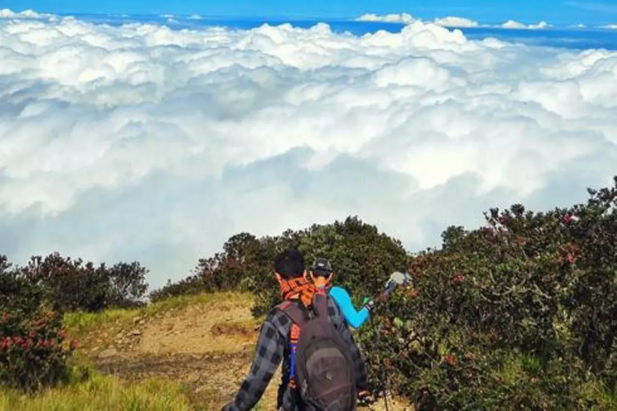 6 Hal yang Harus Kamu Tahu Sebelum Mendaki Gunung Lawu