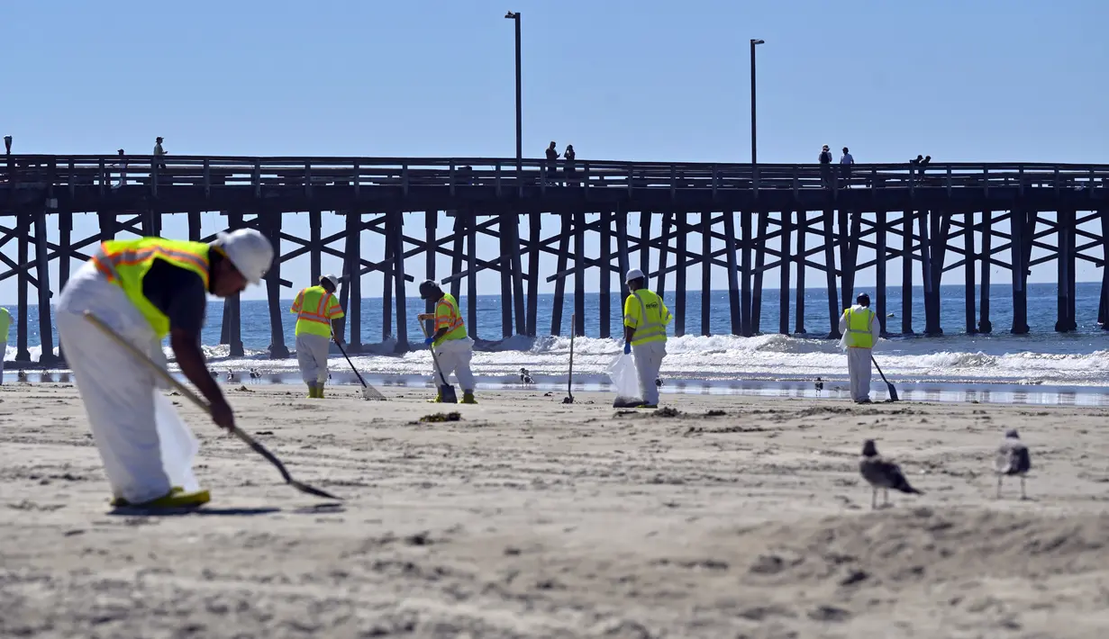 Pekerja membersihkan minyak dari pasir di Pantai Newport, California, Amerika Serikat, Selasa (5/10/2021). Kebocoran pipa menyebabkan tumpahan minyak di lepas pantai California. (Jeff Gritchen/The Orange County Register via AP)