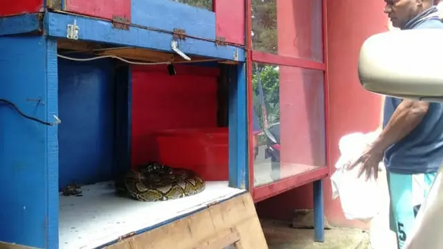 piton