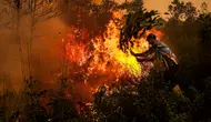Sebaran Karhutla Hari Ini, Kalteng Catat 8.608 Titik Panas
