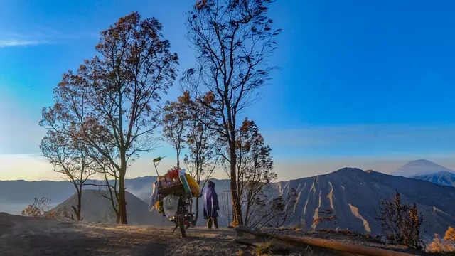 Pesona Kilau Matahari Pagi di Bromo yang Tak Pernah Kehilangan Pesona