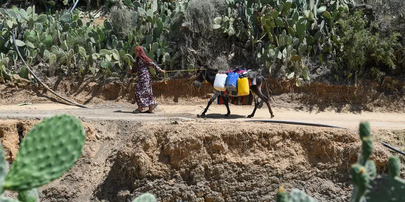 Perjuangan sebuah desa di Tunisia untuk mendapatkan air bersih