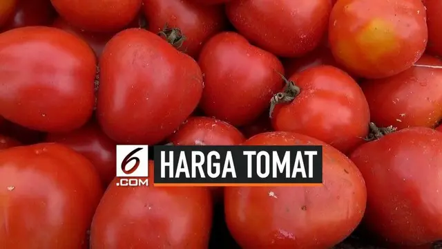 Harga tomat ditingkat petani di Lampung anjlok hingga Rp 300 /kg, akibatnya petani membuah berpeti-peti hasil panen tomatnya di kebun. Tindakan ini mencegah terjadinya kerugian lebih lanjut.