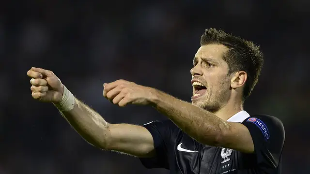 Morgan Schneiderlin