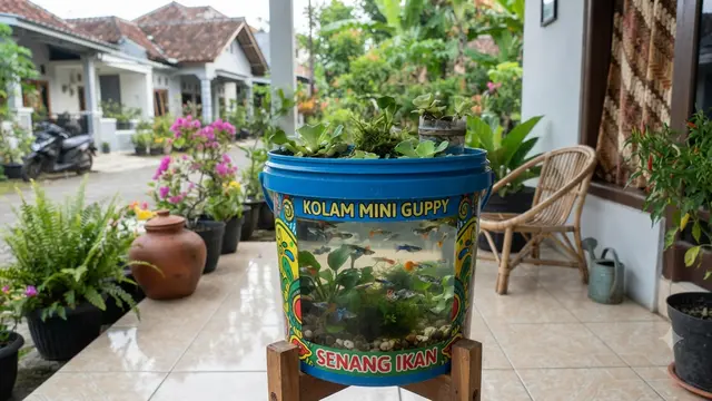 Ide Kolam Mini dari Barang Bekas Model Ember Cat Tembok