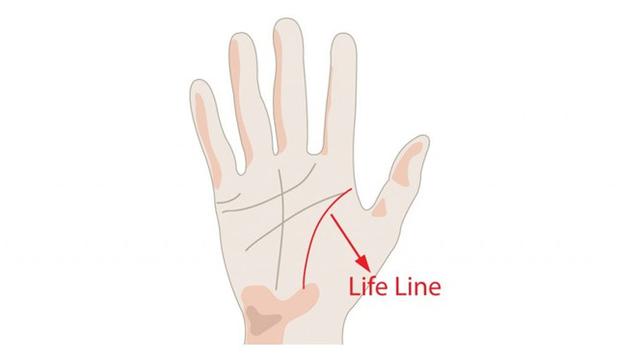 Membaca garis tangan