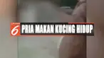 Seorang pria makan kucing hidup di Kemayoran, Jakarta Pusat, sambil marah-marah.