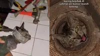 Viral Video Penyelamatan Kucing dari Saluran Kamar Mandi, Bikin Haru. (Sumber: Tiktok/alittsusanto)