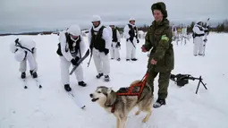 Tentara Brigade Arktik Armada Utara Rusia melatih anjing di Rusia, Selasa (26/11/2019). Mulai bulan Desember, pengintai Brigade Arktik Armada Utara Rusia akan dilatih dalam manajemen kereta luncur anjing. (Andrei Luzik, Russian Defense Ministry Press Service via AP)