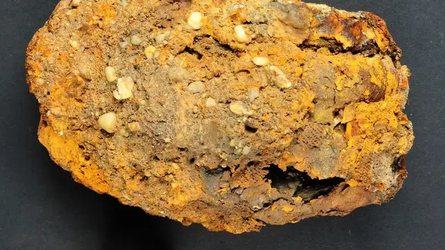 Tangan Palsu Berusia 400 Tahun