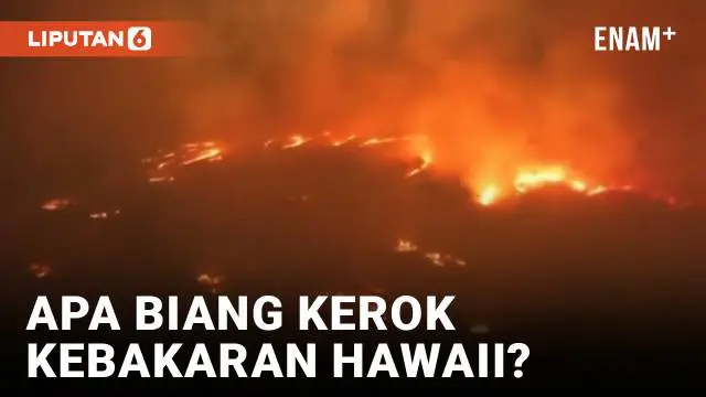 Dua pekan sejak awal kebakaran di Maui, Hawaii, pemerintah daerah Hawaii terus melakukan pencarian korban, sembari mulai merencanakan pembangunan kembali. Warga Maui kecewa terhadap sistem peringatan bencana yang seharusnya bisa menyelamatkan korban ...