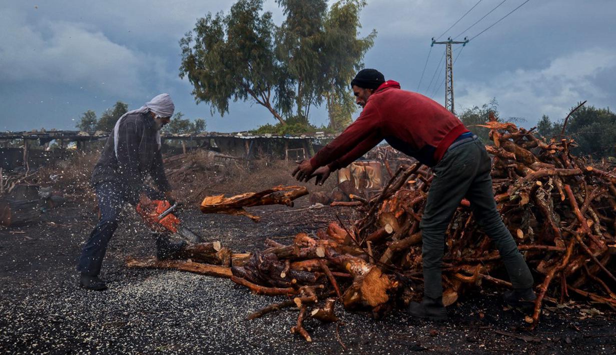 Pekerja memotong kayu di fasilitas produksi arang al-Hattab, sebelah timur Kota Gaza, Palestina, 28 Januari 2021. Delapan orang bekerja sepanjang tahun, terutama selama musim dingin dan musim liburan ketika permintaan batu bara sangat tinggi. (Mohammed ABED/AFP)