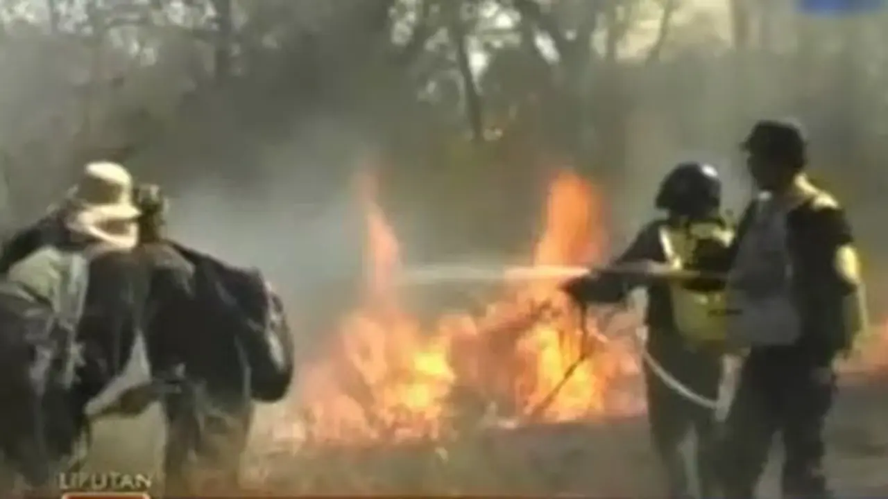 Hutan-Baluran-Terbakar